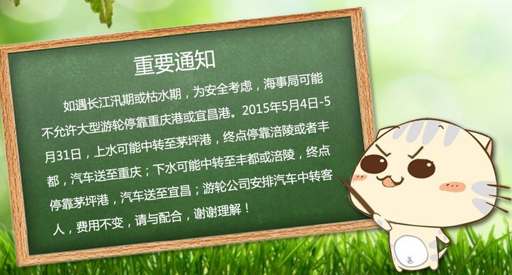 2024年滕州市中小学幼儿园公开招聘教师公告